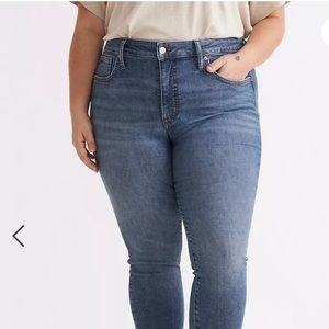 Madewell Plus 10” Hi-Rise Skinny Jeans in Heathfield Wash
